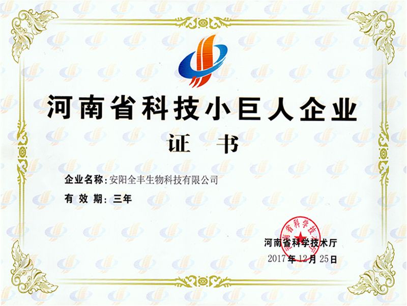 2017年度荣获“河南省科技小巨人企业”